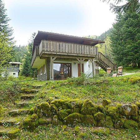 Le Schwarzwald - A Proximite Des Stations De Ski Ла-Бресс Экстерьер фото